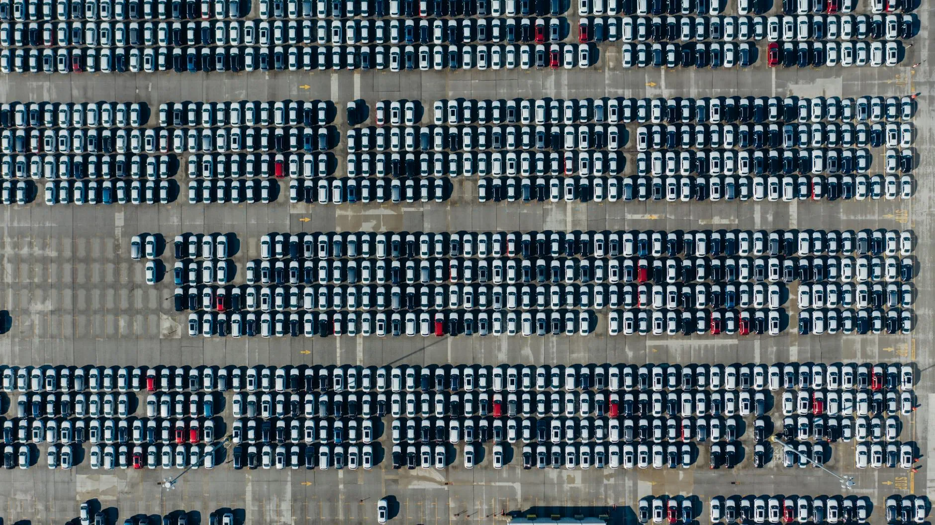 Licensed auto dealer lot with inventory
