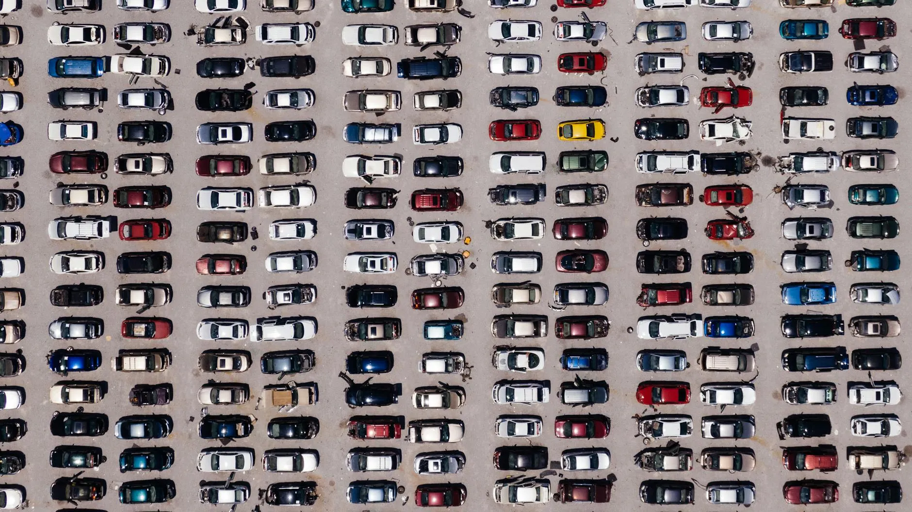 Auto auction lot with rows of vehicles