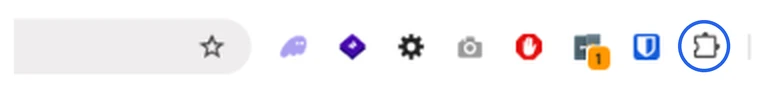 Chrome's toolbar with the Extensions button, a puzzle-piece outline to the right of the other extension icons, circled